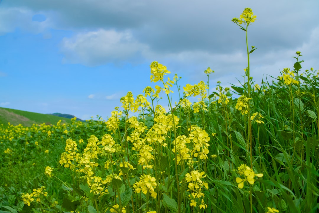 Inspiracje na wiosenne spacery w modnym stylu